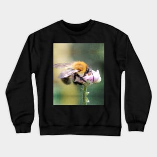 Bee Kind to Yourself Crewneck Sweatshirt